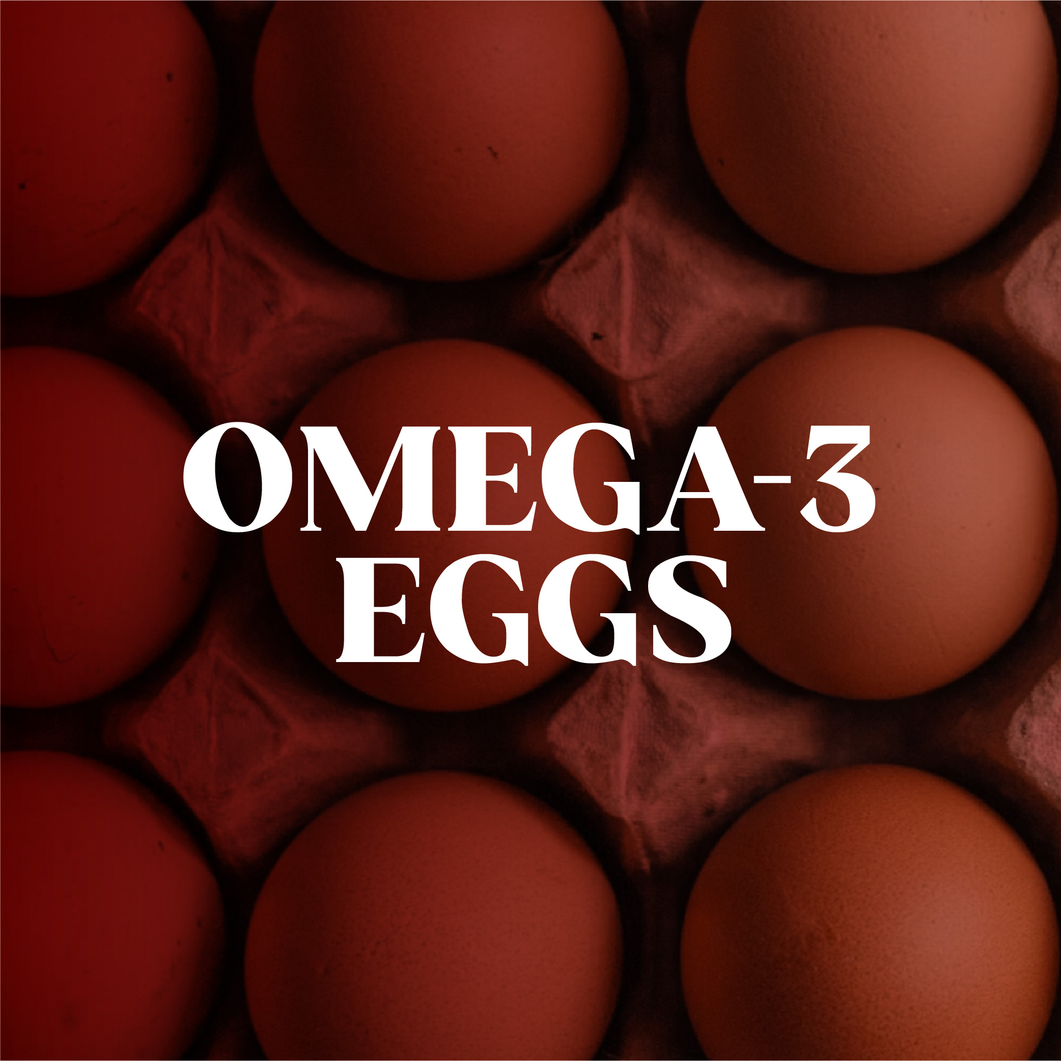 Omega 3 Egg